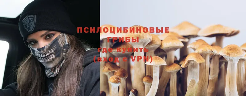 блэк спрут зеркало  Сорочинск  мориарти клад  Псилоцибиновые грибы MAGIC MUSHROOMS 